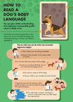 dogs-body-language