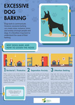 excessive-barking