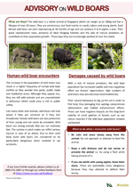 wild-boars-advisory
